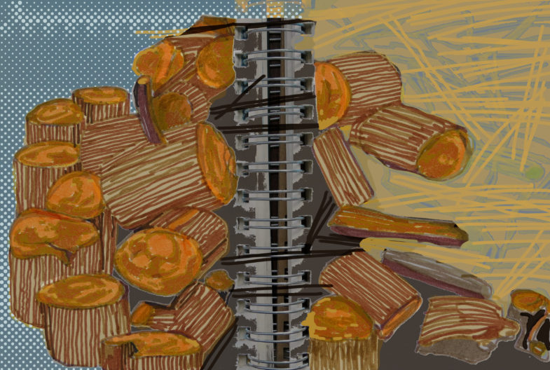 madeira-de-matar-arvore